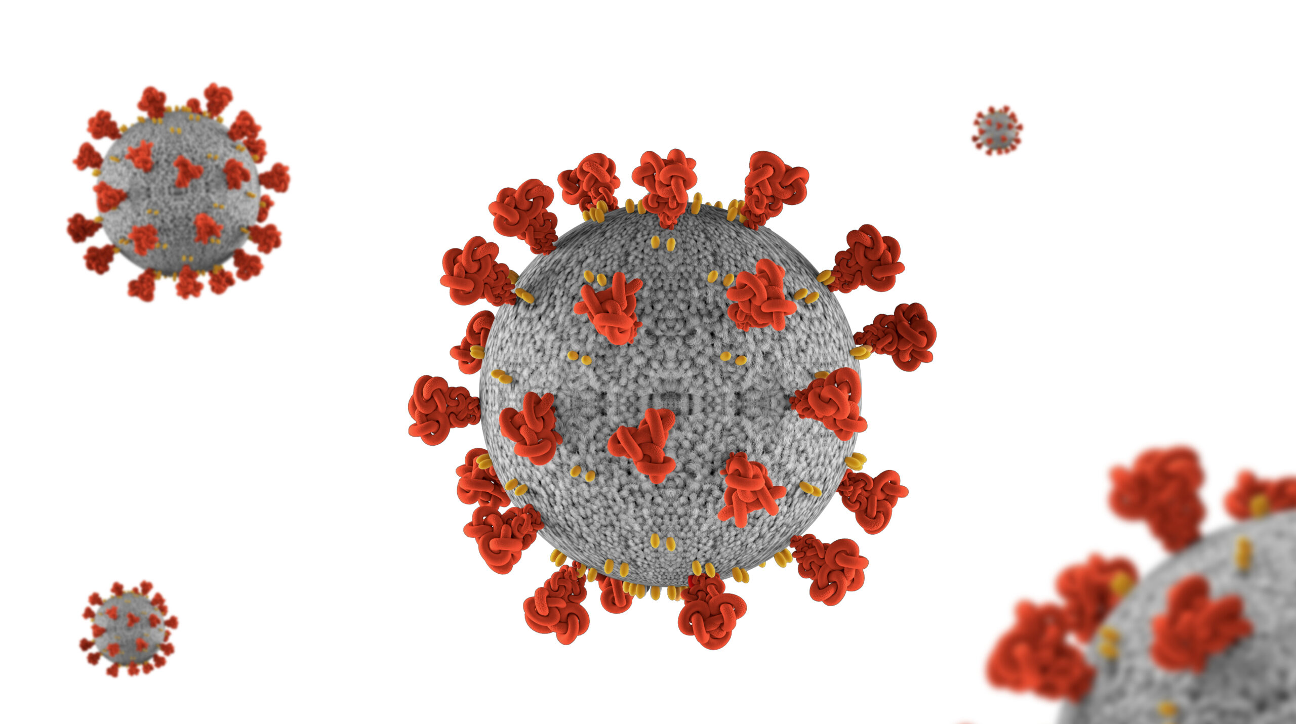 Covid 19 Virus