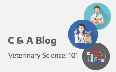 Veterinary Science: 101