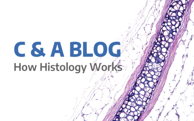 How Histology Works