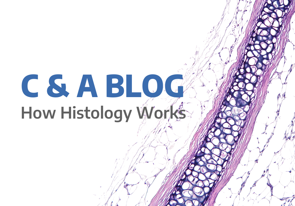 How Histology Works - CNA Scientific