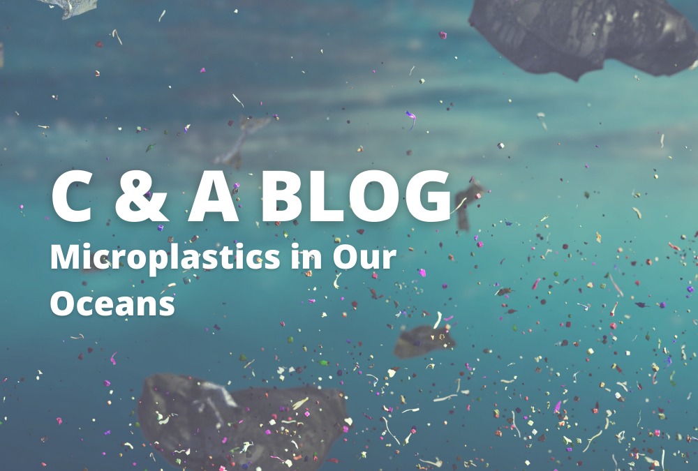 Microplastics in Our Oceans