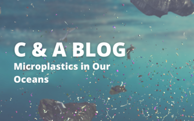 Microplastics in Our Oceans