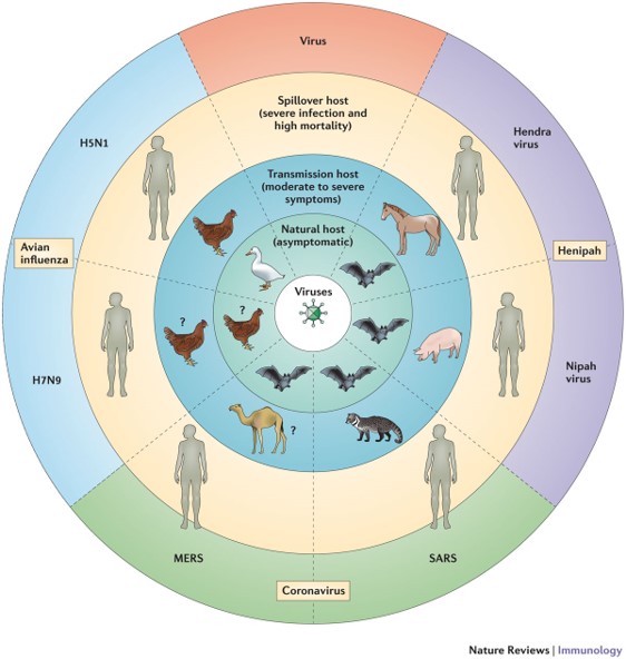 Zoonosis Diagram