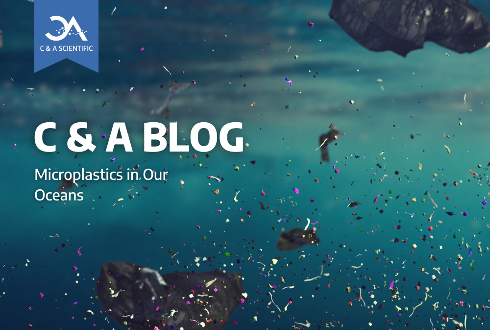 Microplastics in Our Oceans